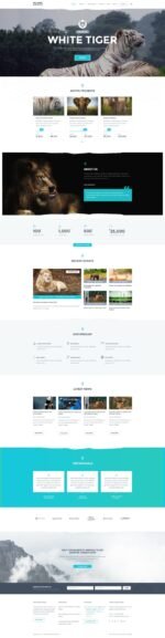 Charity WordPress Theme | HelpingHands