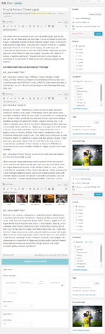 Urban Mag - News & Magazine WordPress