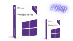 Windows 10 Professional Key - 1 Key
