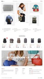 Evon - Bag Store WooCommerce WordPress Theme