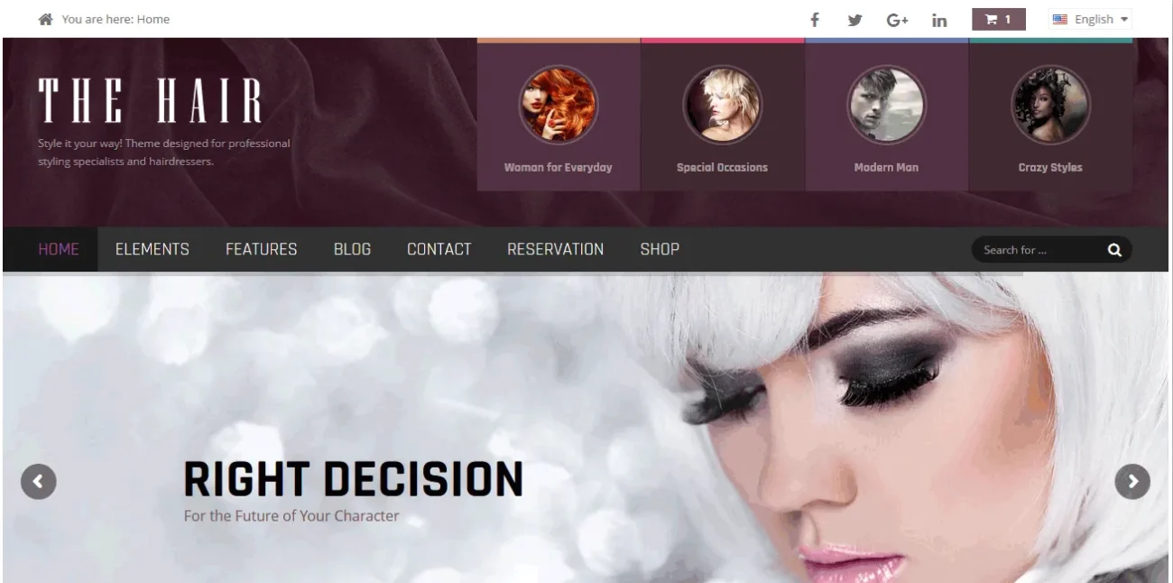 Hair WordPress Theme - AitThemes