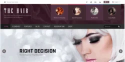 Hair WordPress Theme - AitThemes