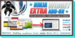 Ninja Widget Extra Add-on