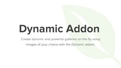 Dynamic Addon - Envira Gallery