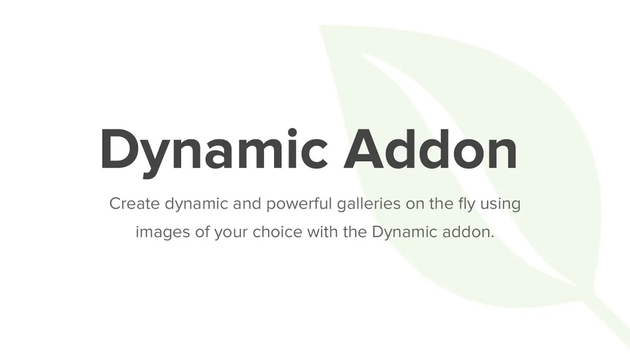 Dynamic Addon - Envira Gallery