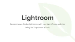 Lightroom Addon - Envira Gallery