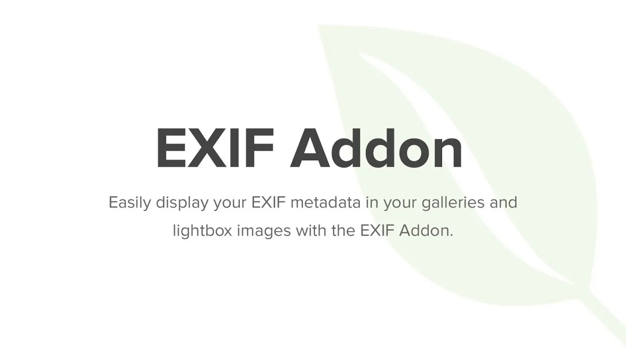 EXIF Addon - Envira Gallery