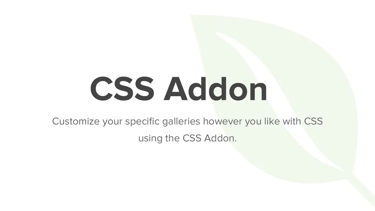 CSS Addon - Envira Gallery
