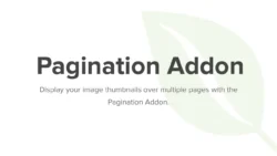 Pagination Addon - Envira Gallery