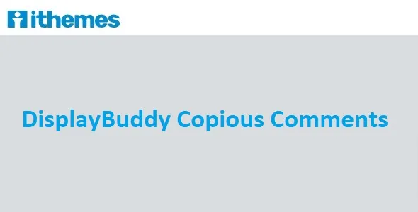 iThemes DisplayBuddy Copious Comments