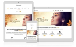 Solitudo WordPress Theme - AitThemes